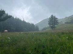 -驼梁风景区