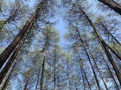 -硗碛藏寨·神木垒景区