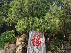 -潭柘寺景区