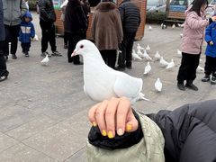 -天津妈祖文化园