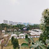 春天应该怎么过❓赏花～拍照～吃火锅❗