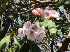 -王顺山国家森林公园