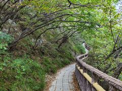 -圣莲山风景区