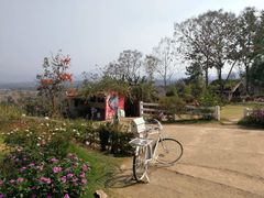 -黄色小屋
