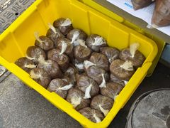 -正宗忘不了老鹅(梅岭店)