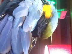 iphone_upload_pic-那家小馆•北京菜•烤鸭(中关村店)