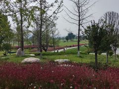 -汉长安城未央宫国家考古遗址公园