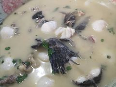 黑鱼鱼丸汤-杨辉饭店