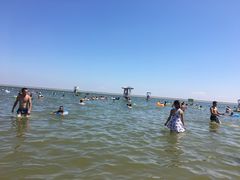 -碧海金沙