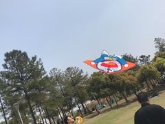 -美兰湖景区