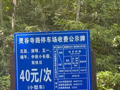 -灵谷景区
