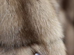 -肃宁华斯国际裘皮城