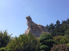 -帽儿山国家森林公园