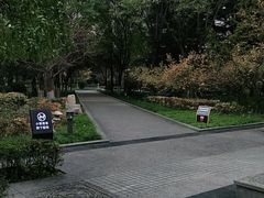-木塔寺遗址生态公园