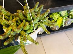 -茶马花街(城西银泰城店)