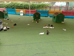 -萌宠亲子动物乐园(槐房万达店)