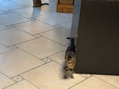 -品茶居素食馆(罗湖店)