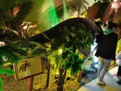 -恐龙探索乐园(磁器口店)