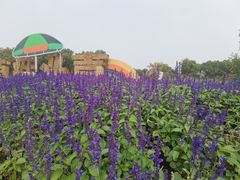 -嘉北郊野公园