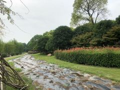-上海鲜花港
