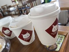 -有猫主题·治愈系猫咖(曾厝垵店)