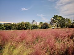 -艾溪湖湿地公园