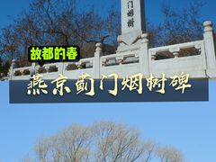 -元大都城垣遗址公园