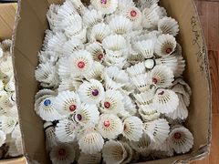 -浩扬羽毛球馆