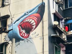 -黄桷坪涂鸦艺术街