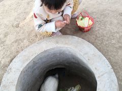 -前小桔亲子创意农场·草莓采摘·露营烧烤