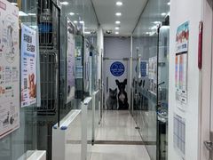-芭比堂动物医院(广州爱宠下渡路分院)