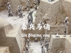 -秦始皇帝陵博物院(兵马俑)