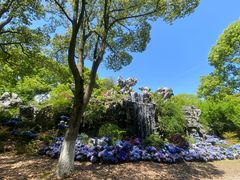 -上海鲜花港