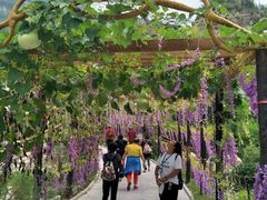 -大平台龙居瀑布旅游区