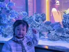 -上和臻品中国菜(花园街店)