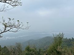 -紫金山山顶公园