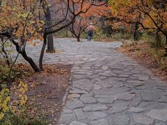 -香山公园