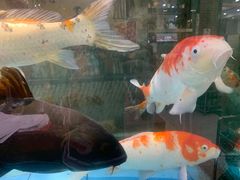 -新榕记滨江壹號