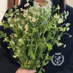 -WAVE SODA摄影工作室