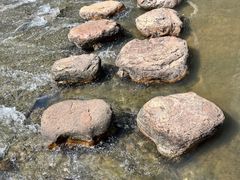 -光明小镇欢乐田园