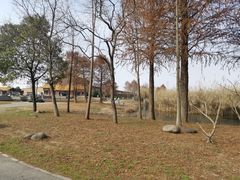 -宁波杭州湾国家湿地公园