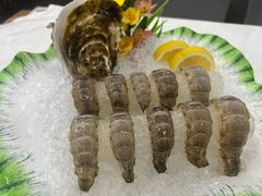 瀨尿蝦刺身-嘉升大排档(番禺总店)