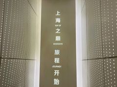 -上海中心大厦