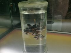 -青岛葡萄酒博物馆