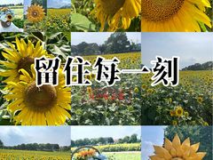-苏州湾体育公园