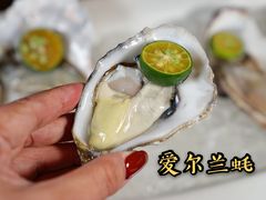 生蚝刺身-佛山希尔顿酒店·融誉亚洲美食荟