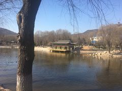 -石家庄市动物园