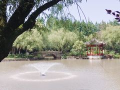 -瀛洲公园