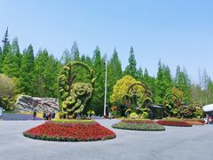 -东平国家森林公园
