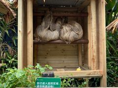 -广州长隆野生动物世界